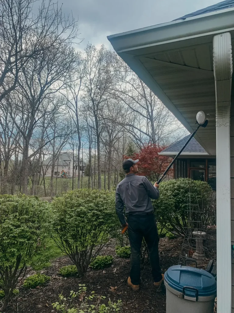Bolivar Pest control